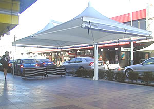 umbrella shade structures